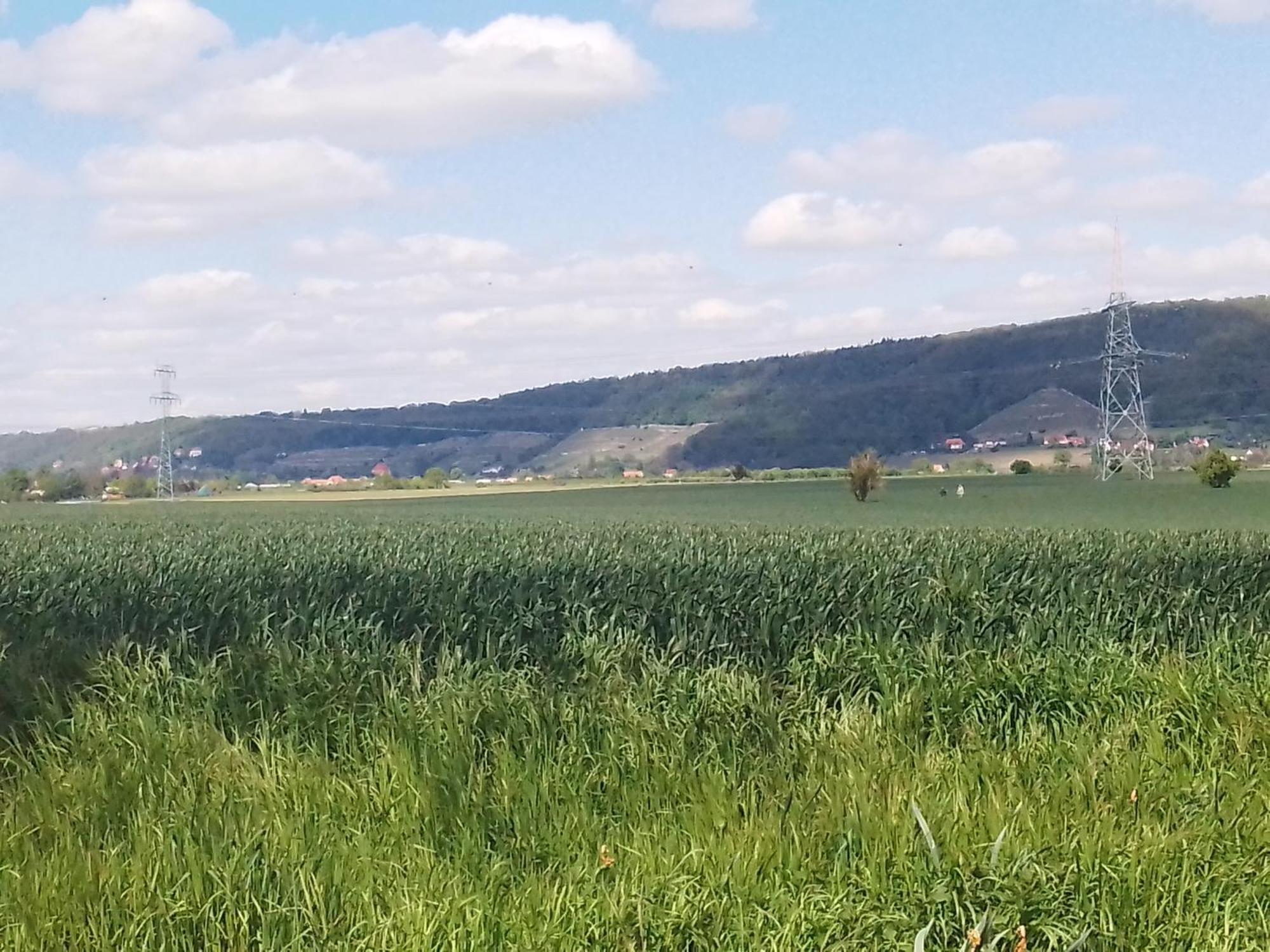 Dresden-Entspannung-Natur-Trifft-2-Staedte-Am-Fluss 외부 사진